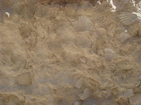 d0227344_1752548.jpg