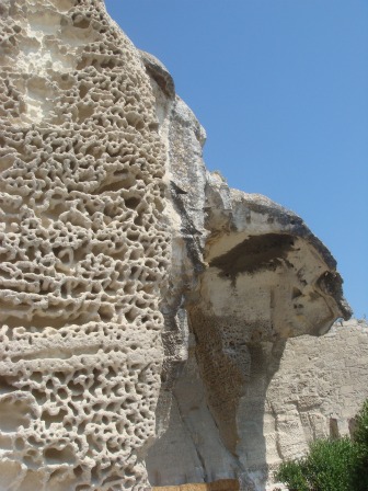 d0227344_1792594.jpg