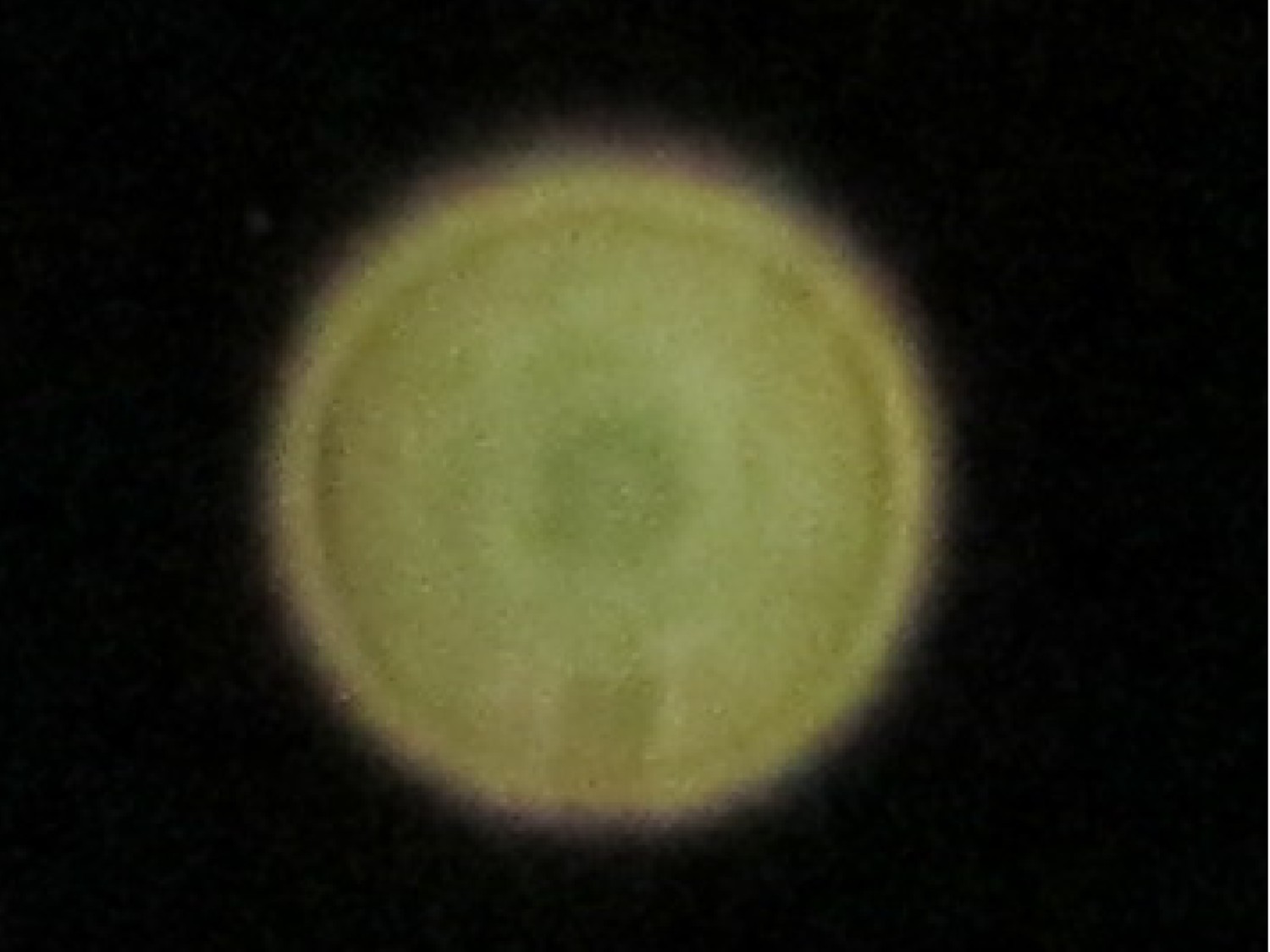 d0075649_10382267.jpg