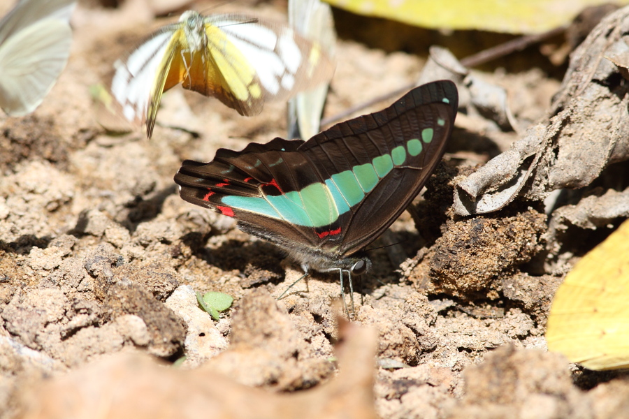 a0094850_9211163.jpg