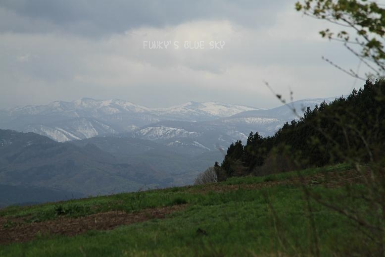 c0145250_1130637.jpg