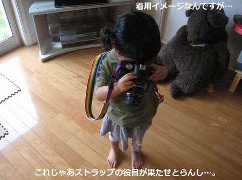 a0090451_1101062.jpg