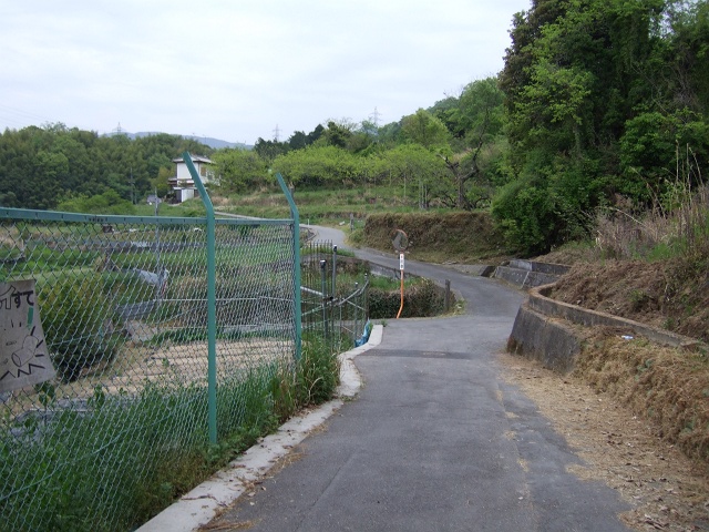 b0095061_11271644.jpg