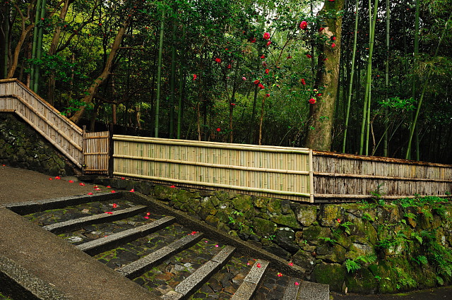 f0222161_21463730.jpg