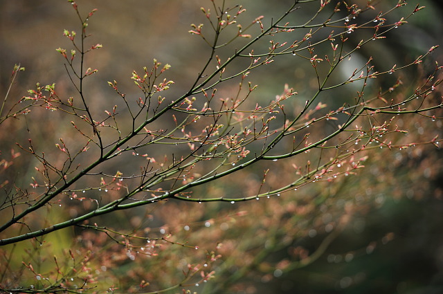 f0222161_2147263.jpg