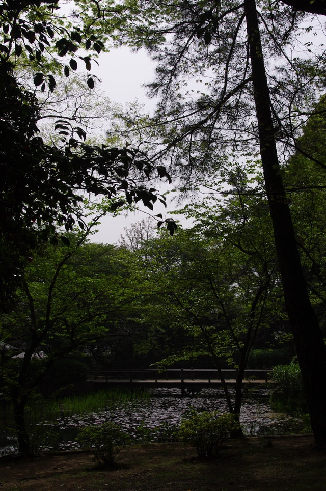 d0093462_1917689.jpg