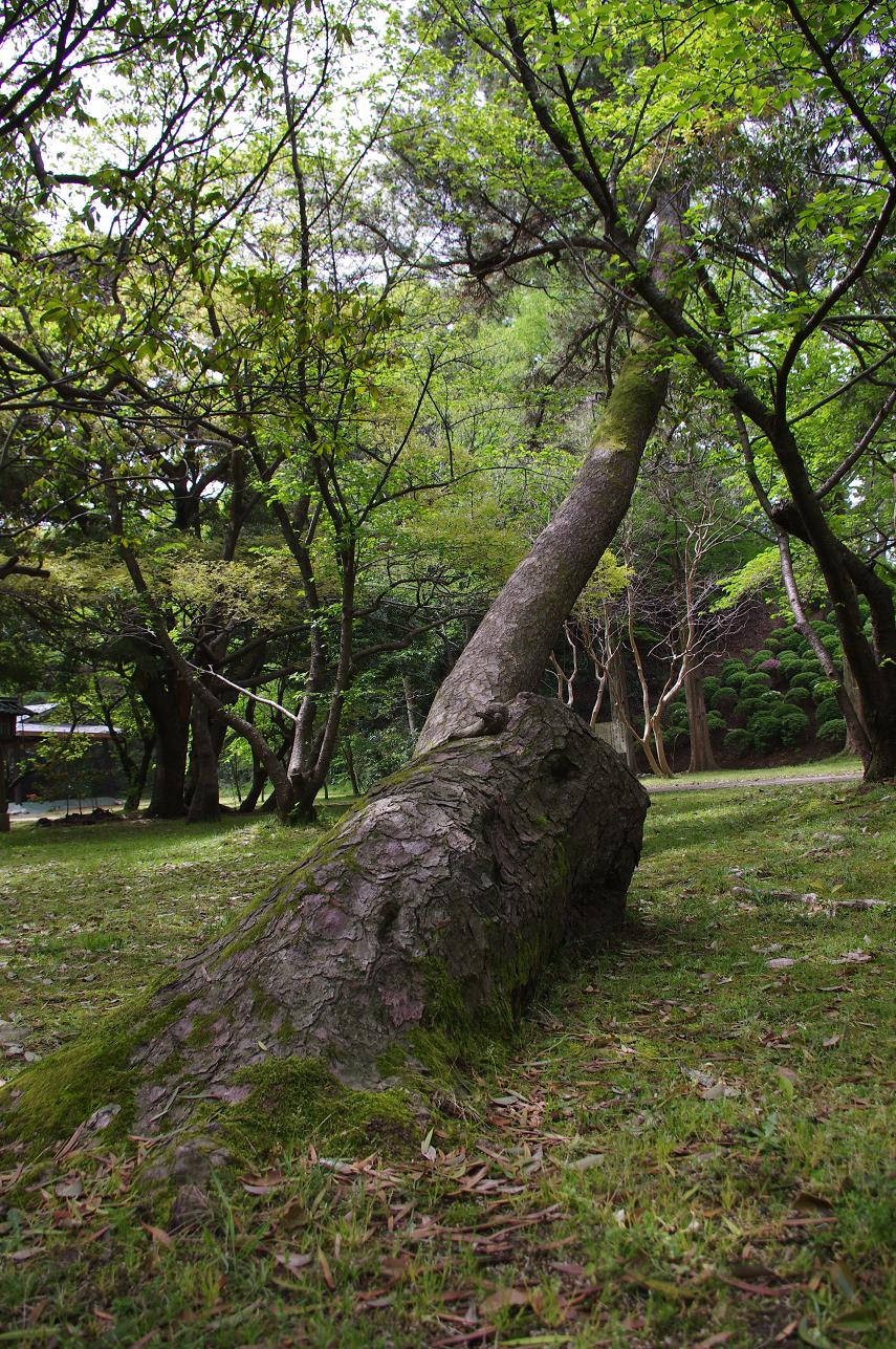 d0093462_2015780.jpg