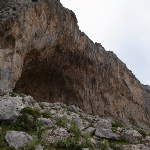 e0167264_5494736.jpg