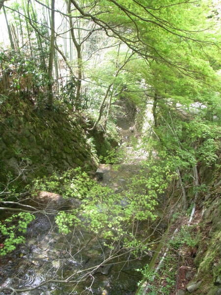 e0153367_10334199.jpg