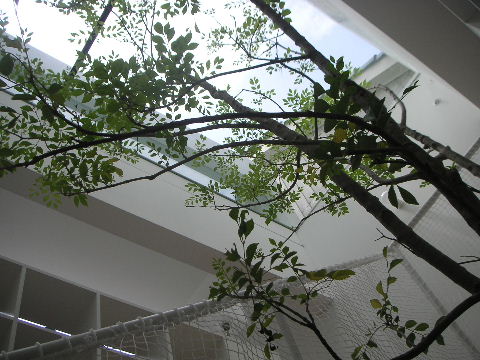 b0175571_012298.jpg