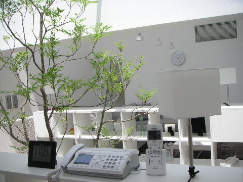 b0175571_013468.jpg