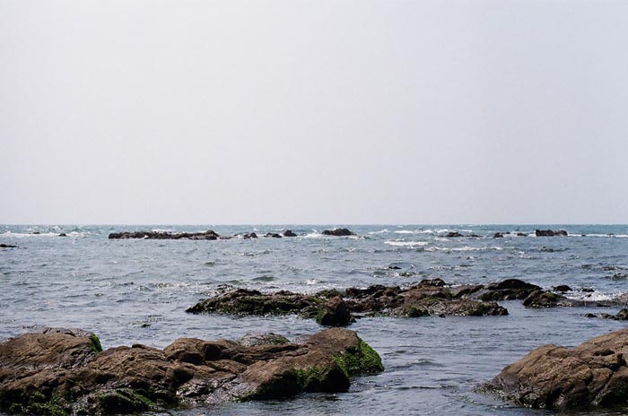 e0164571_1748119.jpg