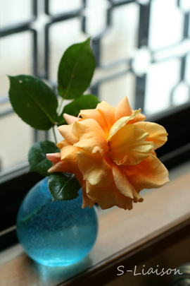 b0139477_1622666.jpg