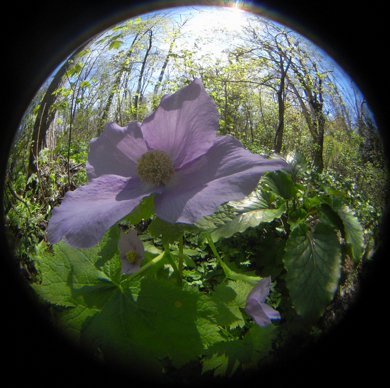 c0183777_8293691.jpg