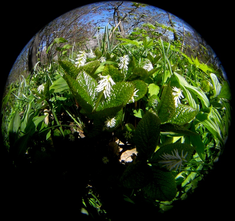 c0183777_847122.jpg
