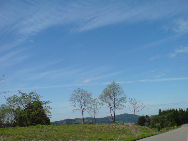 d0182179_16473898.jpg