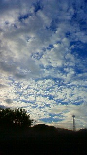e0168583_12595691.jpg