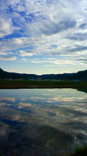 e0168583_1301046.jpg