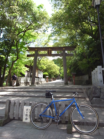 b0087187_22583698.jpg