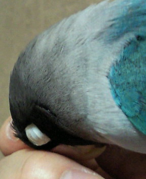 e0175288_14262623.jpg