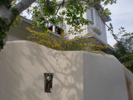 f0177788_13355637.jpg