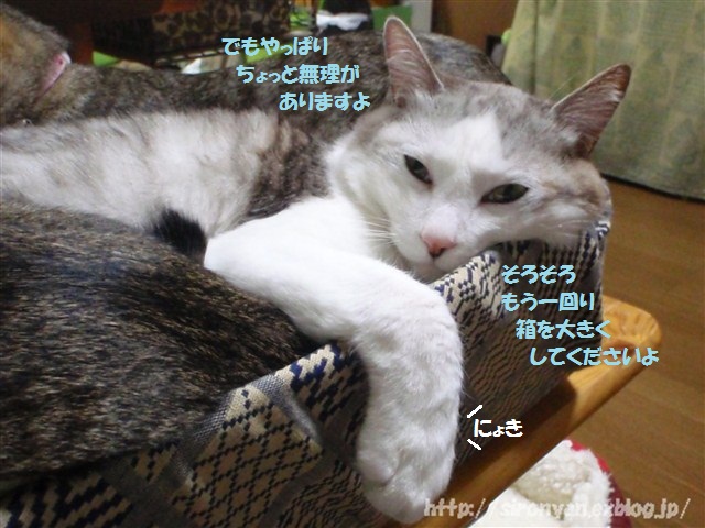 a0159490_12395299.jpg