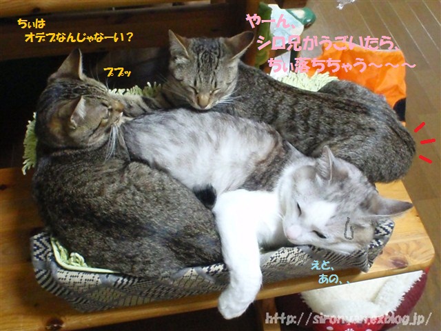 a0159490_12395528.jpg