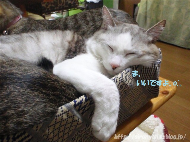 a0159490_12395799.jpg