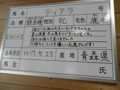 b0209890_2323684.jpg
