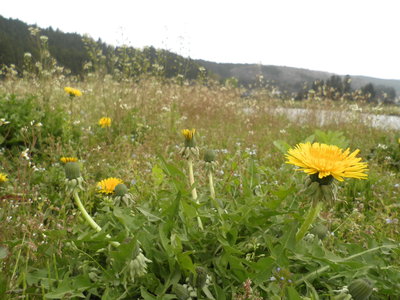 b0209890_2391314.jpg