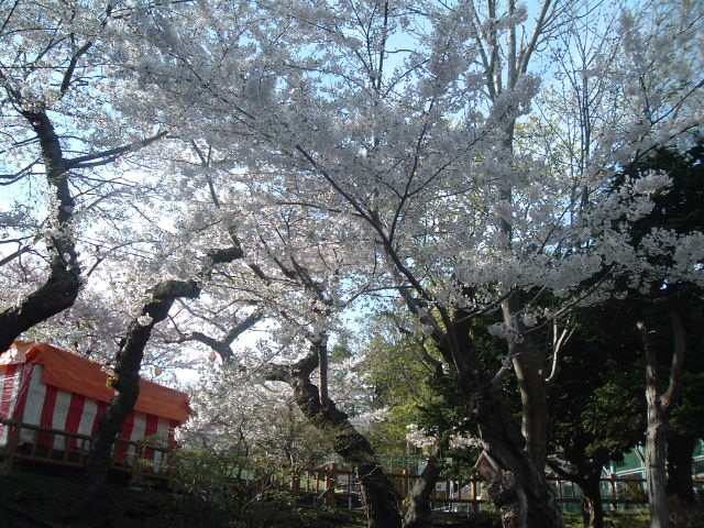 d0201194_2236345.jpg