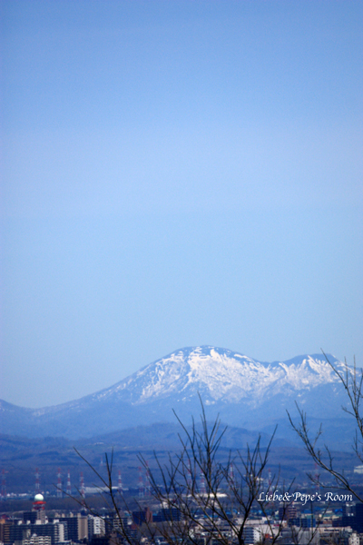 f0001895_16351769.jpg