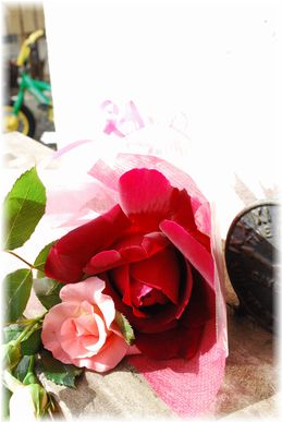 c0144696_1214454.jpg