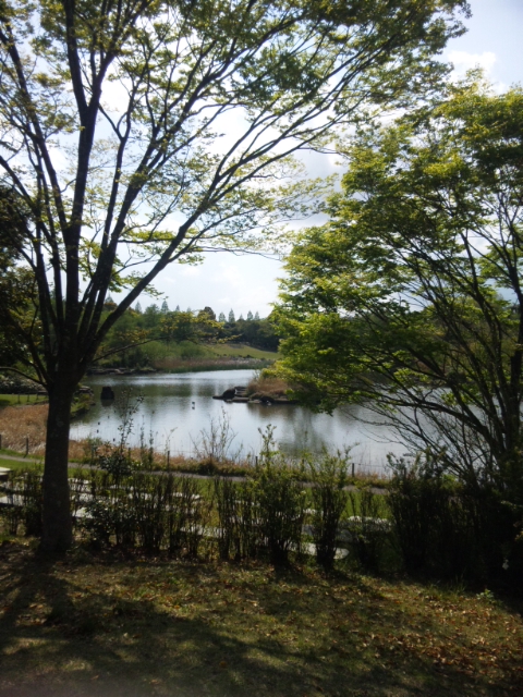 f0153998_0462962.jpg