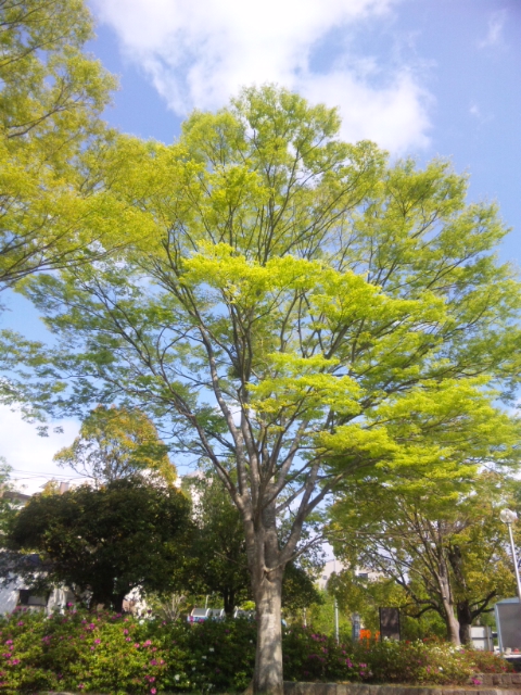 f0153998_0474314.jpg
