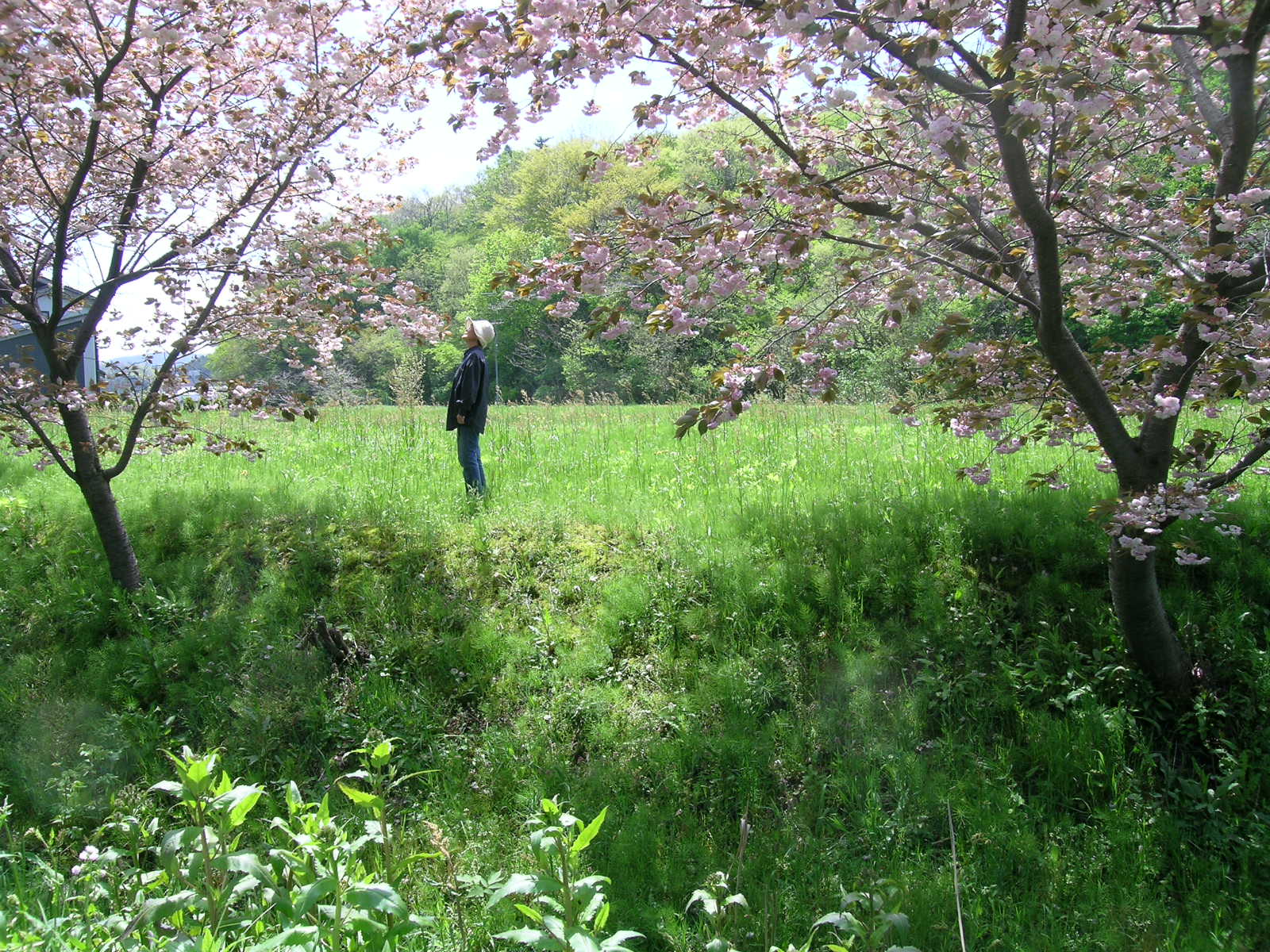 a0203003_14253312.jpg