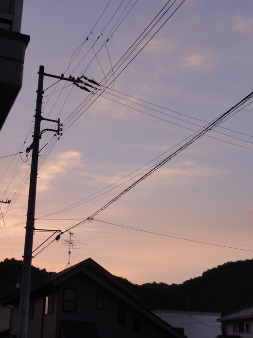 a0199304_216455.jpg