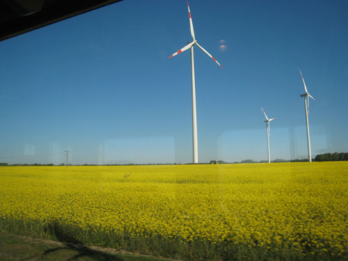 e0149604_644812.jpg