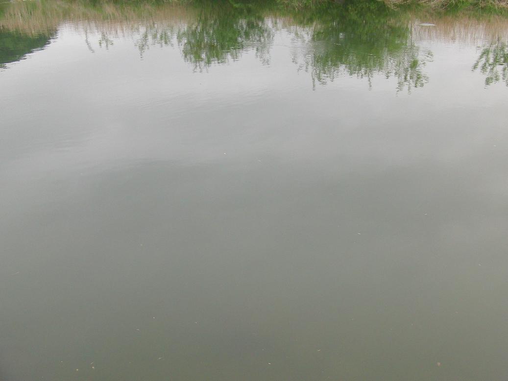 d0126708_020661.jpg