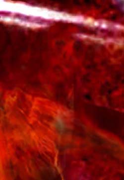 e0103408_7302058.jpg