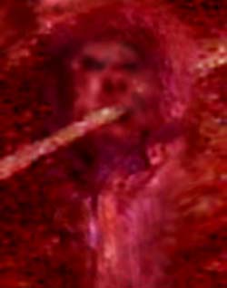 e0103408_7303322.jpg