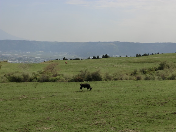 d0221319_1144033.jpg