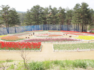 d0068023_1239555.jpg