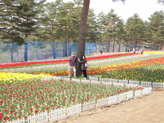 d0068023_12433440.jpg