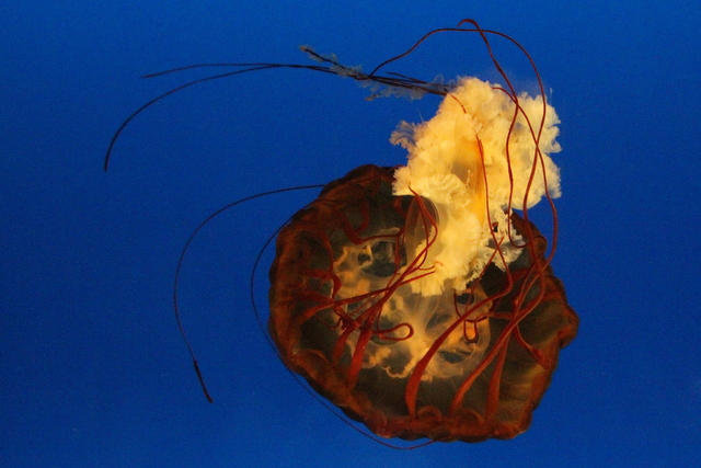 f0221023_4285573.jpg