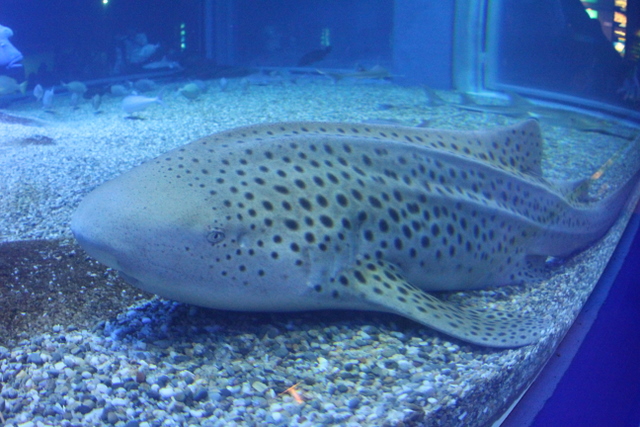 f0221023_4292014.jpg