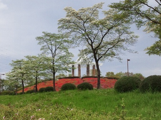 b0199924_16245434.jpg