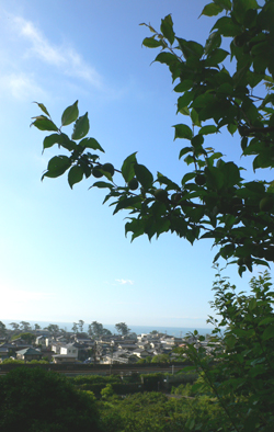 f0060424_813258.jpg