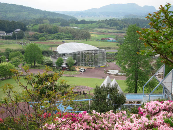 f0147025_1543105.jpg