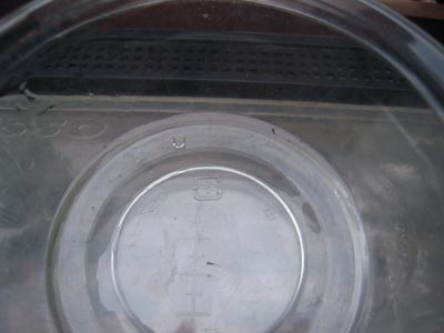 e0097534_1727195.jpg